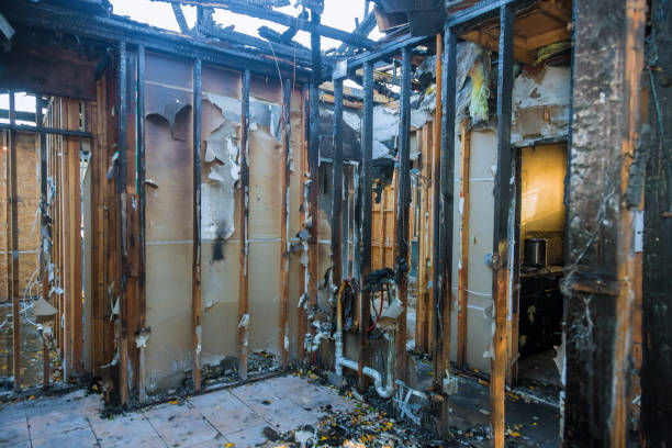Professional Smoke Damage Removal technician working in Duncanville, TX